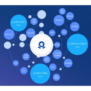 发电集团信息化应用管理绩效AI系统